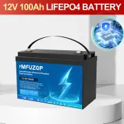 12V 100Ah Lithium Iron Battery LiFePO4 Rechargeable Camping RV BMS Boat