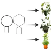 Adjustable Flower Plant Trelli Support Frame for Vine Climbing High Quality!