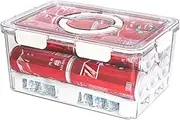 Ice Chilled Camping Food Container Fruit Serving Tray with Lid Stackable Snackle Box with Handle & Ice Pack for Veggie Baverage Drinks Beer cupcake Organizer for party Picnic Camping Fridge(Large)