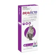 Bravecto Spot On Cat 6.25-12.5kg Purple Large Cat Flea & Tick Treatment Prevent