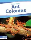 Matt Lilley Ant Colonies (Paperback) Animal Teams