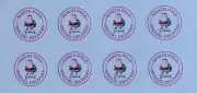 24x Personalised Christmas Sticker Label Santa Claus North Pole Special Delivery