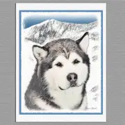 6 Alaskan Malamute Dog Blank Art Note Greeting Cards