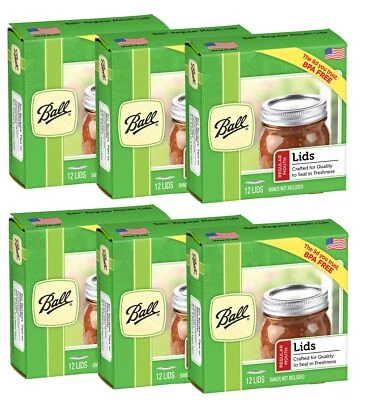Ball Regular Mouth Lids for Glass Mason Jars, Used for Canning, Pickling, Jui...