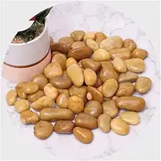 Decorative Stones, Outdoor Decorative Stones, 5.5 Lb Natural Landscaping Pebbles, Gardening Clay Rocks Garden DIY Decor Stones, Ponds Terrariums Vase Fillers (Color : Yellow, Size : 0.78-1.57 in)