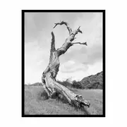 Left Out Framed Print Fine Art Poster Print