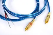 L/R AMP Receiver Dual Gold RCA to Bare Wire Powered Speakers Pair 2-Cables, 2 Ft