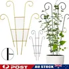Stakes Plant Climbing Support Frame Garden Climbing Trellis Flowers Stand Cage