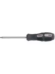 Draper Tools Expert Draper Tools TX-Star Driver T25 X 100mm Long (40053)