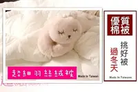 在飛比找Yahoo!奇摩拍賣優惠-【MEIYA小舖】美國Microban抗菌處理《雙人超細羽絲