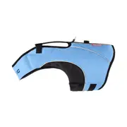 EzyDog Boost X2 DFD - Large / Blue