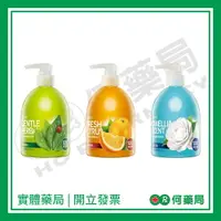 在飛比找樂天市場購物網優惠-快適潔 抑菌洗手乳 300ml 溫和草本 / 清新柑橘 / 