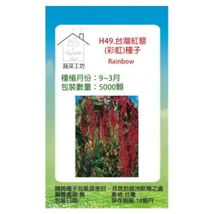 【蔬菜工坊】H49.台灣紅藜種子.未脫殼(彩虹)