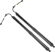81771B8100 Liftgate Actuator 2Pcs Power Liftgate Support Strut Shocks Compatible with 2013-2019 Hyun-dai Santa Fe 81771-B8100 81780-B8100
