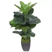 NNEDSZ Fiddle Leaf Fig Tree 70cm