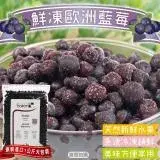 在飛比找遠傳friDay購物優惠-【果之蔬】冷凍歐洲藍莓1包(約1kg/包)