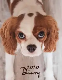 在飛比找博客來優惠-Diary 2020: Dog Lovers Diary: 