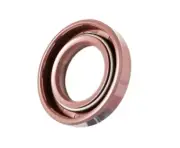 EAI 28x62x10mm FPM/FKM Oil Shaft Rotary Seal w/ Stainless Steel Spring Dbl Lip