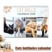 1PC 2025 Cat Balls Calendar 12 Monthly Funny Cats Calendar XMAS Gifts Gag Quirky