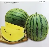 在飛比找蝦皮購物優惠-【全館590免運】小玉西瓜種子 Watermelon 西瓜 