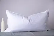 Standard Goose Down Feather Hotel Collection Bed Pillows for Sleeping One Pil...