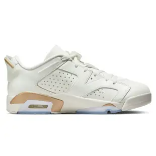 Nike 男鞋 女鞋 休閒鞋 Air Jordan 6 Retro Low 喬丹 白金【運動世界】DH6928-073