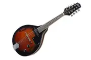 Freedom Acoustic-Electric 8 String Mandolin MT30 Cherry Red