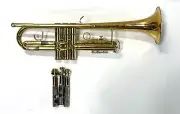 Trumpet Cornet ChemFlush Brass Instrument Chemical Cleaning Service