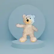 Teddy Bear Soft toy for Kids