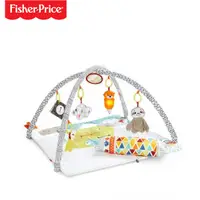 在飛比找蝦皮商城優惠-費雪 Fisher Price 感官訓練可愛動物健身器 / 