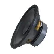 Rockwood DY1026U Pa Bass Fullrange 250 MM Guitar Speaker 100 Watt 070022