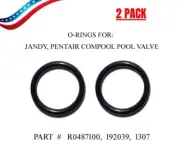 Replacement for R0487100, 192039, 1307 O-Ring Jandy, Pentair Compool Pool Valve