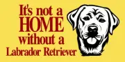 REUSABLE STENCIL 10322 o 6"x12" Labrador Retriever -DIY Mylar Stencils