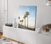Palm Trees near Beach with Blue Sky Photograph Stretched Canvas 40x50cm Print