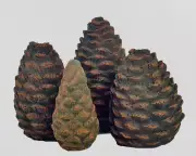 Skyframe Ceramic Fiber Pine Cones 4 Piece Set Gas Faux Fireplace Logs