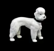 9942436 Porcelain Figure Dog Poodle with Collar White Wagner & Apel H7, 5cm