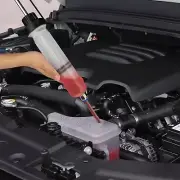 Fluid Extractor Pump with Hose for Oil & Fuel Change Evacuation (Manual)