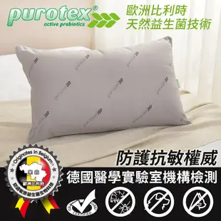 【LooCa釋放壓力的專家】竹碳纖維 Purotex 益生菌 防護 抗過敏 枕頭 抗敏枕 益生菌枕 過敏兒 好眠枕 竹炭