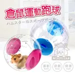 CARNO卡諾小倉鼠跑球18.5CM 倉鼠寵物用品玩具滾球 運動水晶跑球 滾球運動 健身運動《亞米屋YAMIYA》