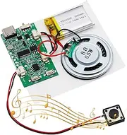 AYWHP USB Sound Module Music Voice Recording Module with Speaker MP3 USB Cable Rechargeable Battery Top Speaker for DIY Cards, Gifts, Toys, DIY