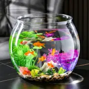 Transparent Fish Tank Decorative Mini Plastic Round Aquarium Office