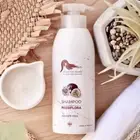 DEAD SEA Minerals Hair Shampoo Passiflora Keratin Strengthening Castor 500 ML