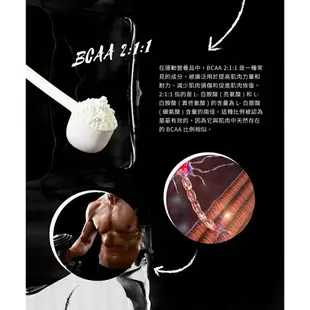 即期品促銷【 ATP Science 】澳洲 BCAA 2:1:1 支鏈胺基酸粉 250g