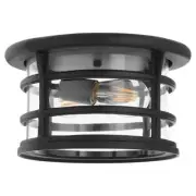 Quorum Haley 11" Outdoor Ceiling Mount, Noir/Clear - 318-11-69