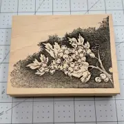 Serendipity Rubber Stamp Grapevine Grapes Bunch Leaves Branch Nature Craft