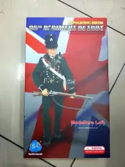 DID 95th Regiment of Foot Napoleonic Series 1/6 figure model LIMITED EDITION