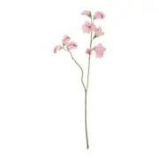 [Florabelle Living] Alfresco Sweetpea Pink