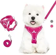 Cat Harness and Lead Set for Walks, Adjustable Kitten Vest Harness with Reflective Strip, Escape Proof Pet Safety Vest for Cats, Puppies, XL, Magenta
