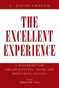 在飛比找博客來優惠-The Excellent Experience: A Bl