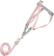 Leash and Harness Set for Kitten Cat Escape Proof Lightweight Compact for Outdoor Activities